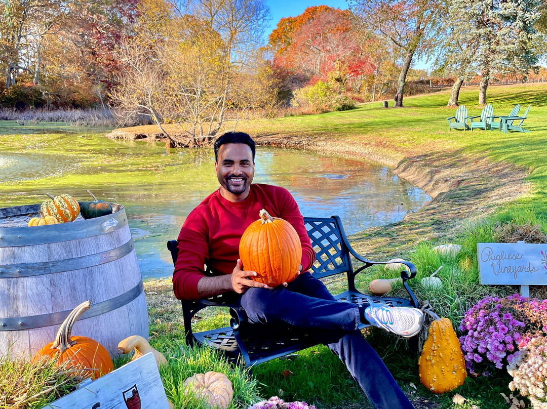 Pugliese Vineyards-Cutchogue必去景点