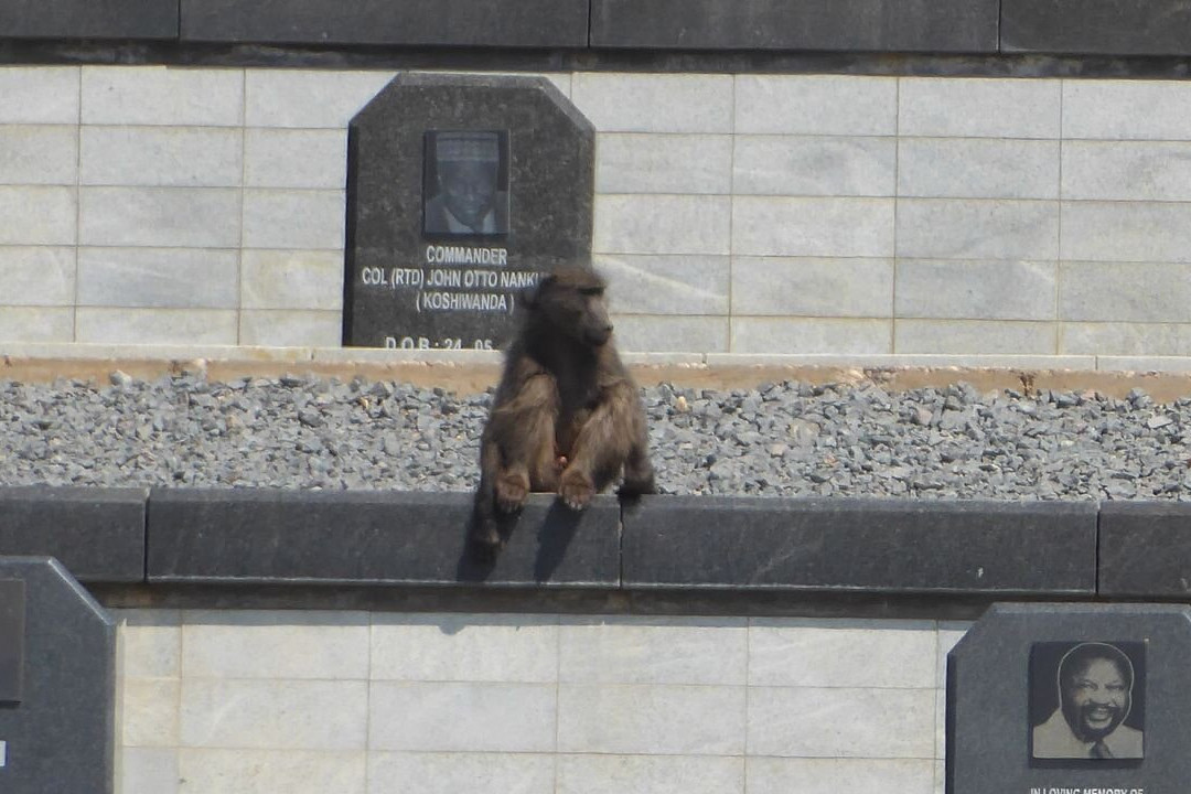 Heroes Acre-温德和克必去景点
