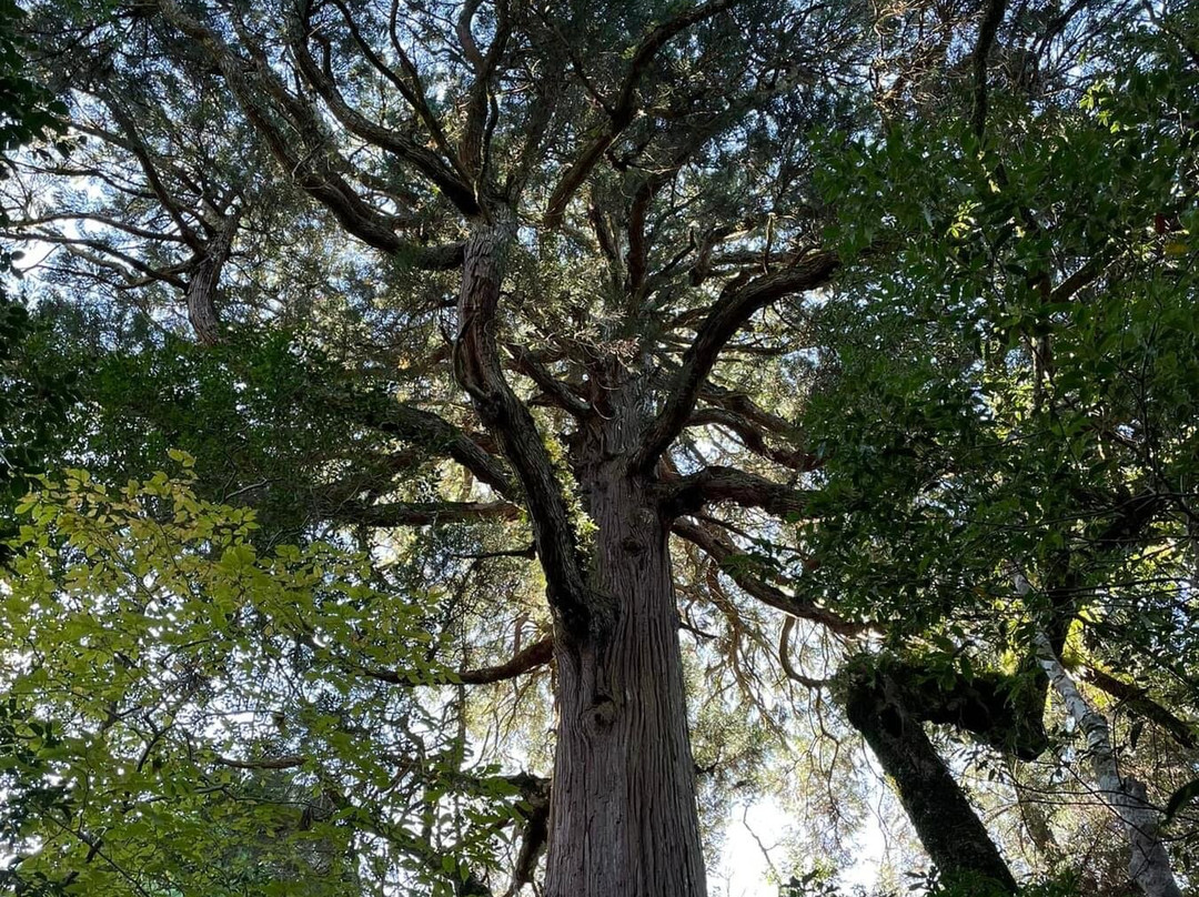 Minshuku Kawahara主图