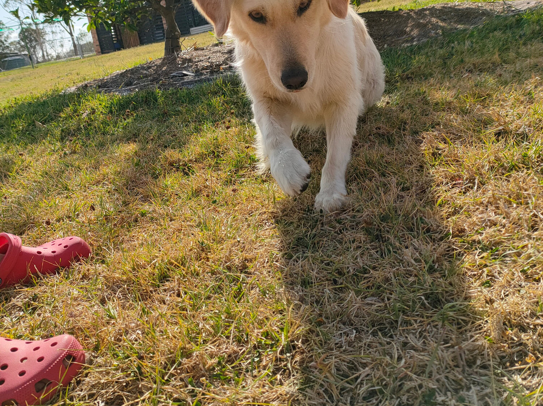 Bryn Glas Farm Stay主图