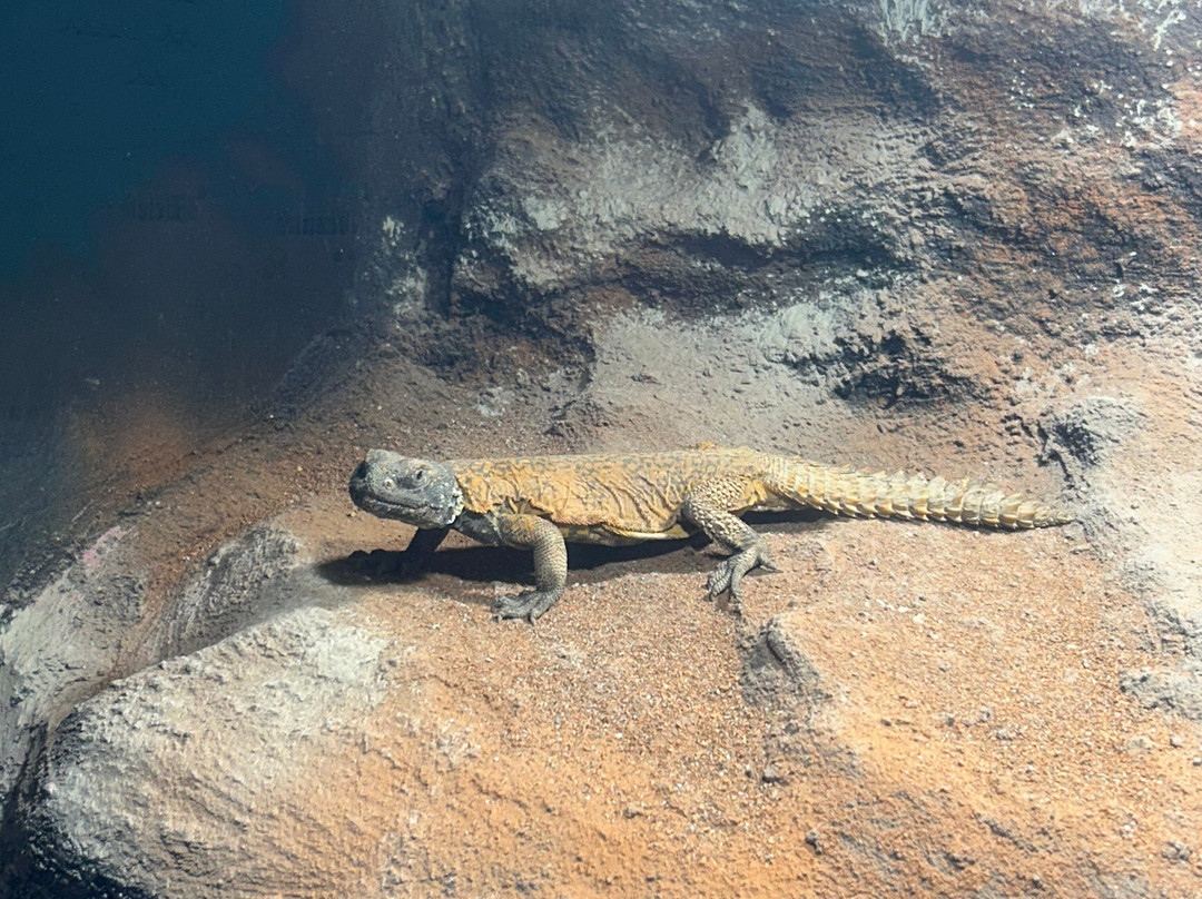Tropicarium Park景点图片