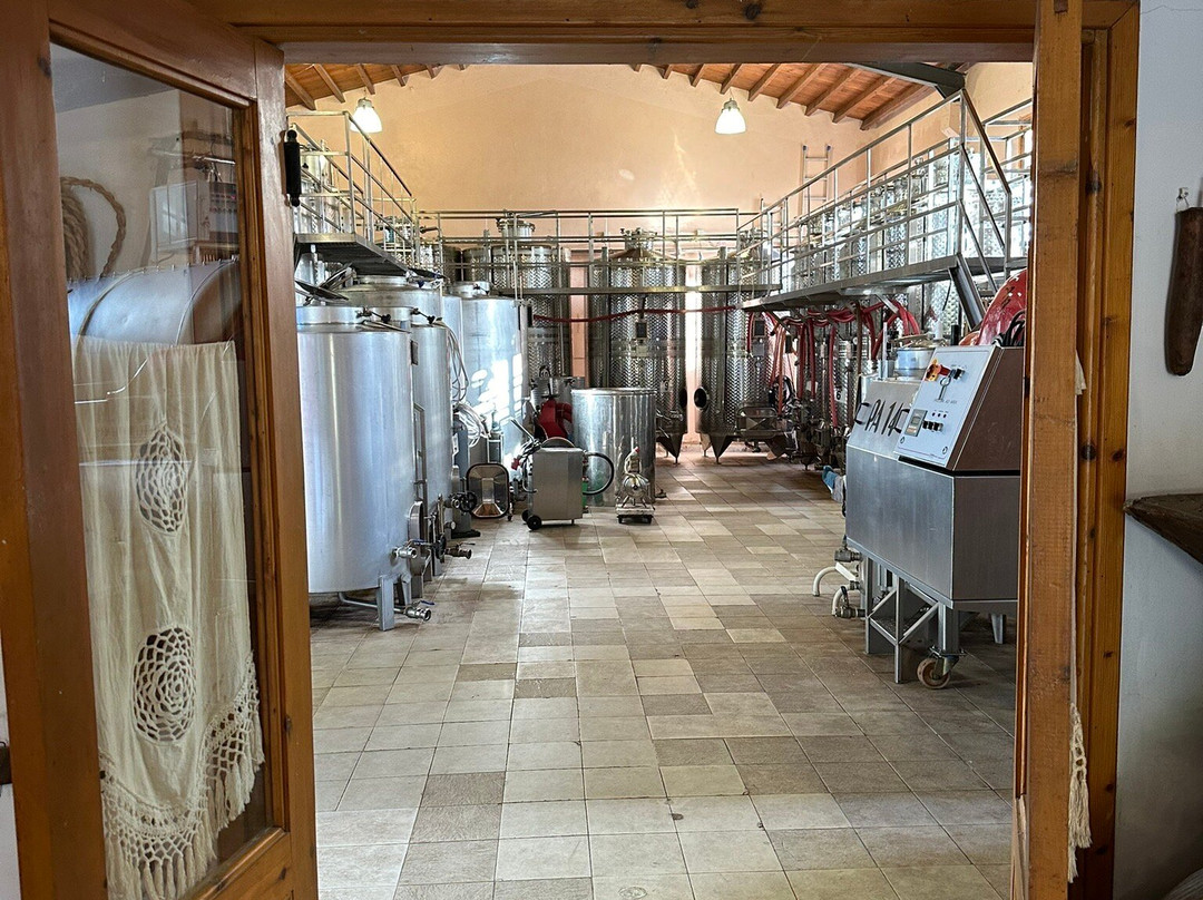 Ayia Mavri Winery-Koilani必去景点