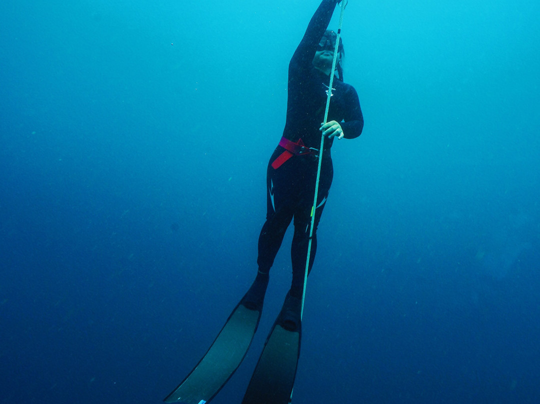 Ocean Bx Freediving-Mati必去景点