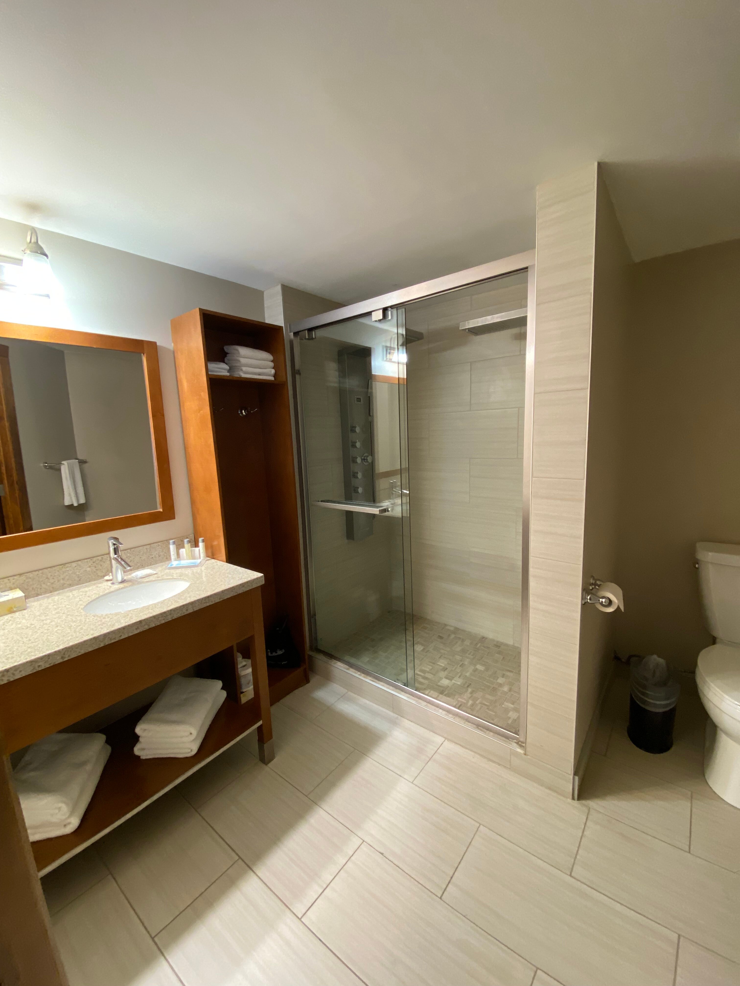 Elkhorn Resort Spa & Conference Centre-浴室