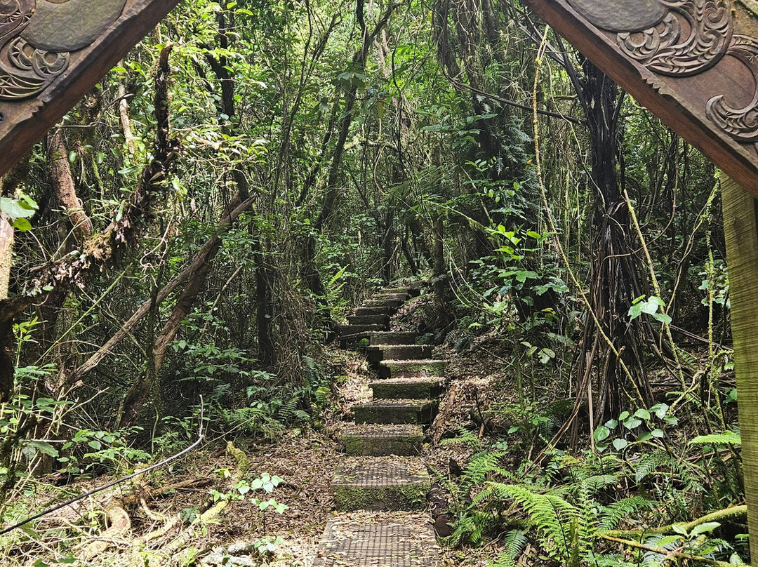 Kakepuku Historic Reserve景点图片