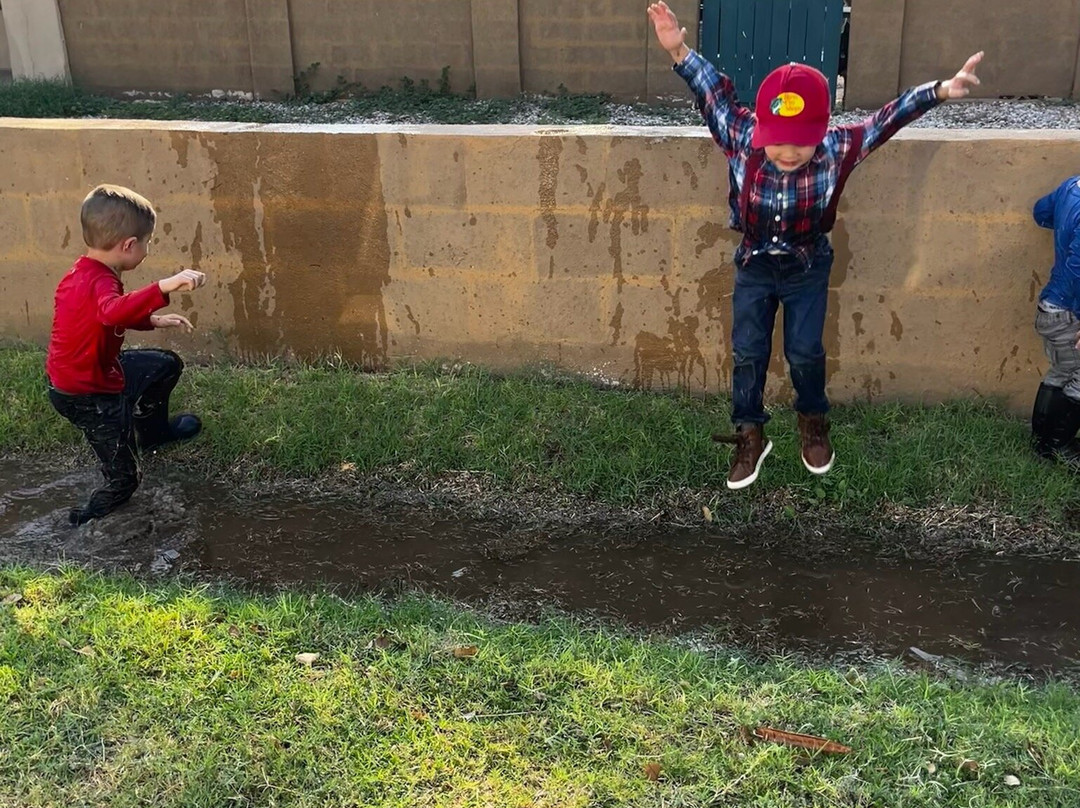 Shangri La Botanical Gardens and Nature Center-奥兰治必去景点