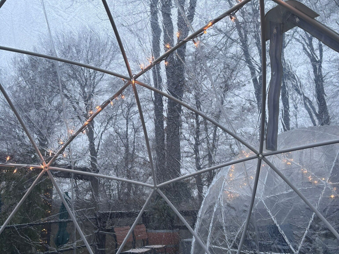 Oliver Winery-布卢明顿必去景点