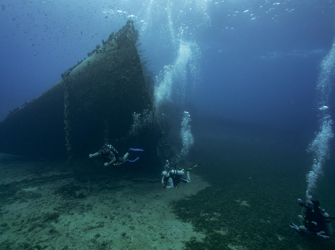 NAUTILUS DIVE CENTER ARUBA-萨瓦内塔必去景点