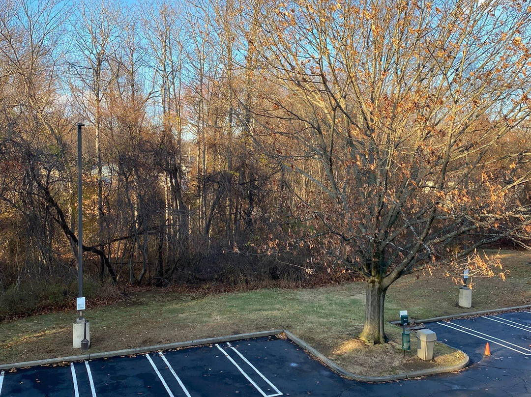 米尔福德红顶客栈主图