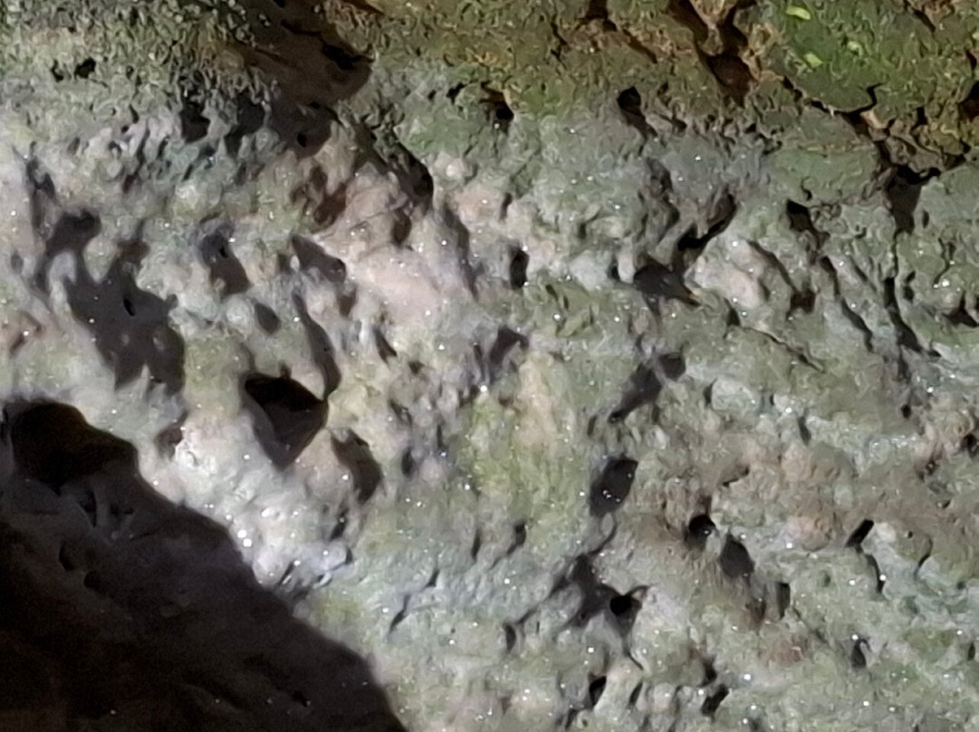 Bilsteinhöhle景点图片