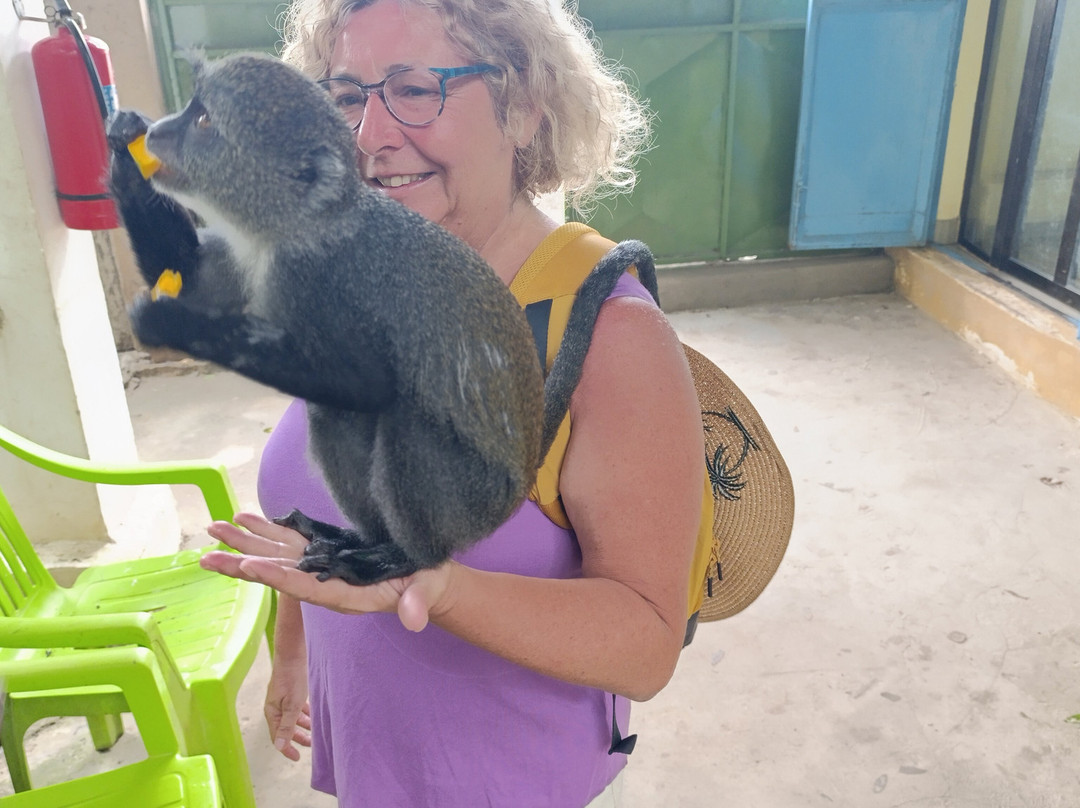 Zanzibar Kilosas Conservation-孥归必去景点