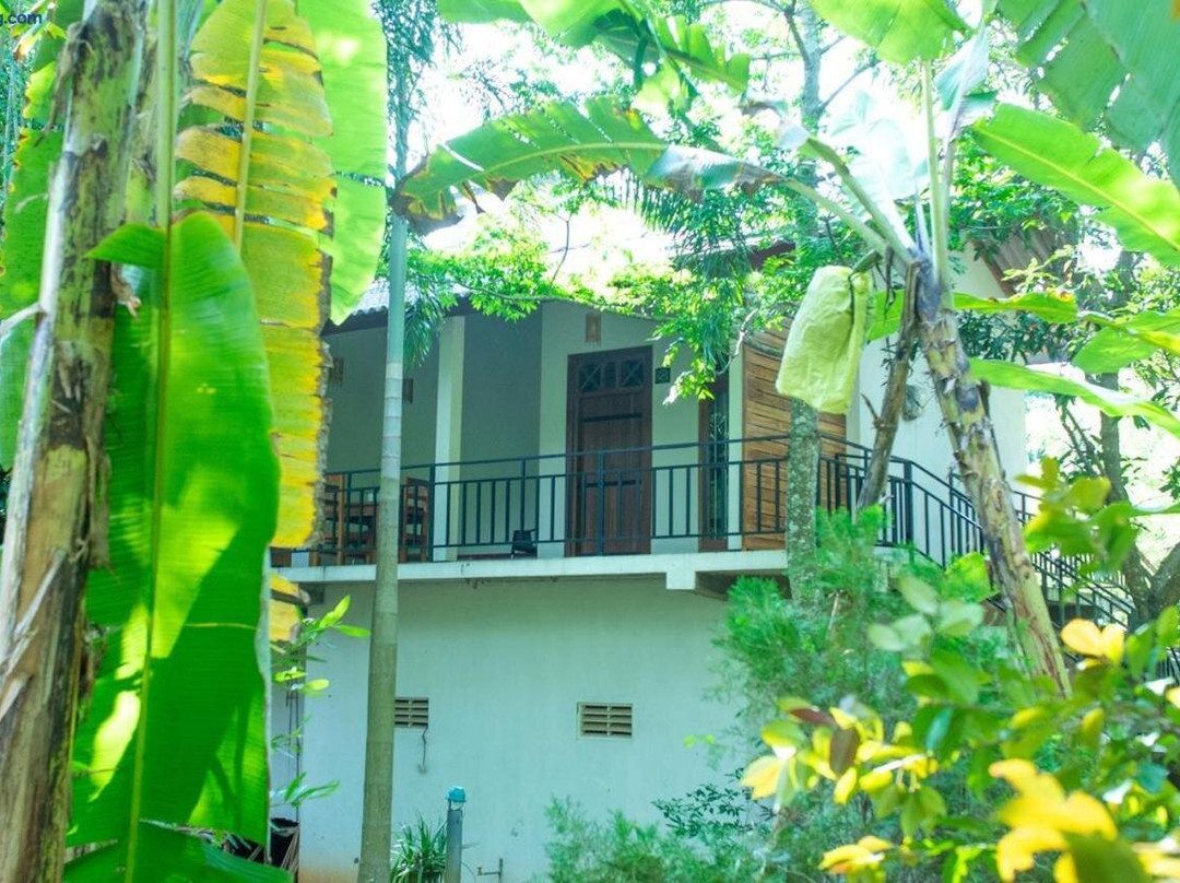 Wild Heaven Udawalawe主图