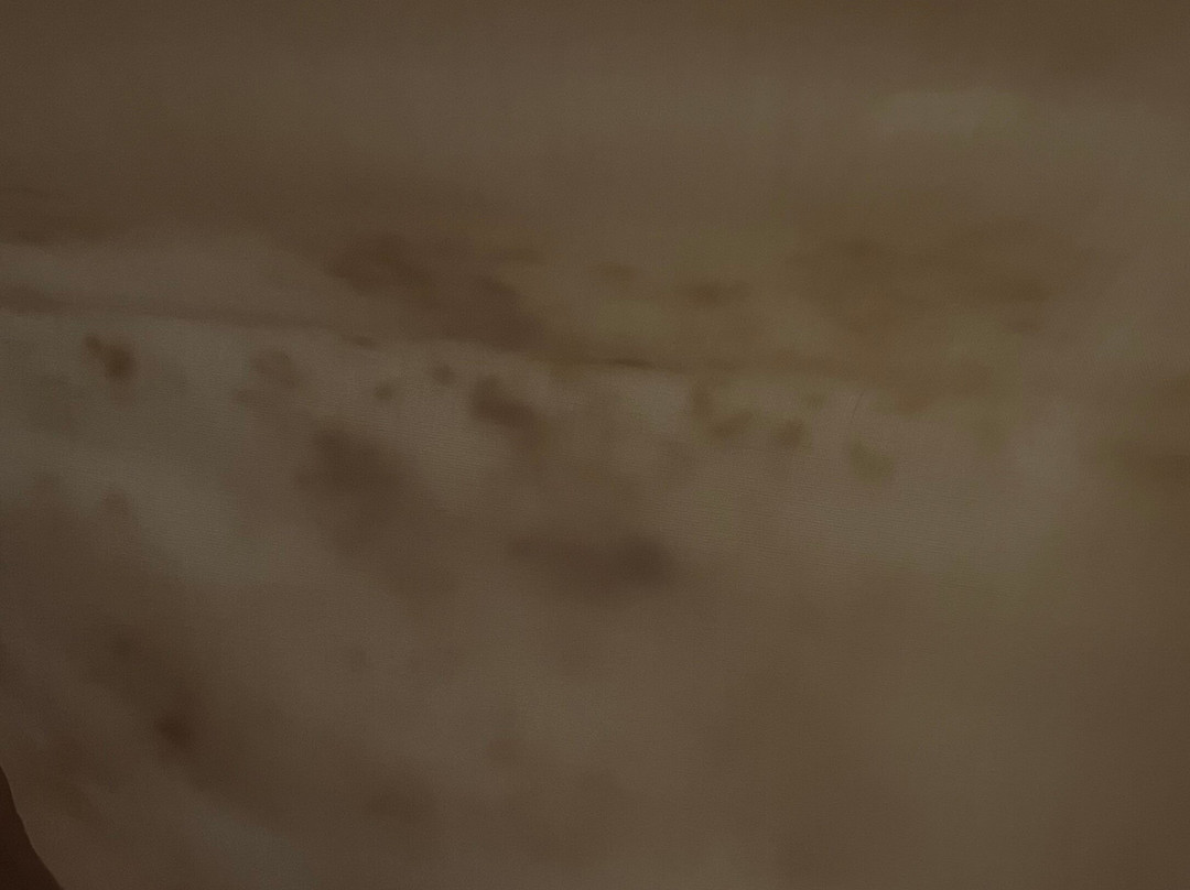 圣迭戈拉荷亚万豪酒店主图