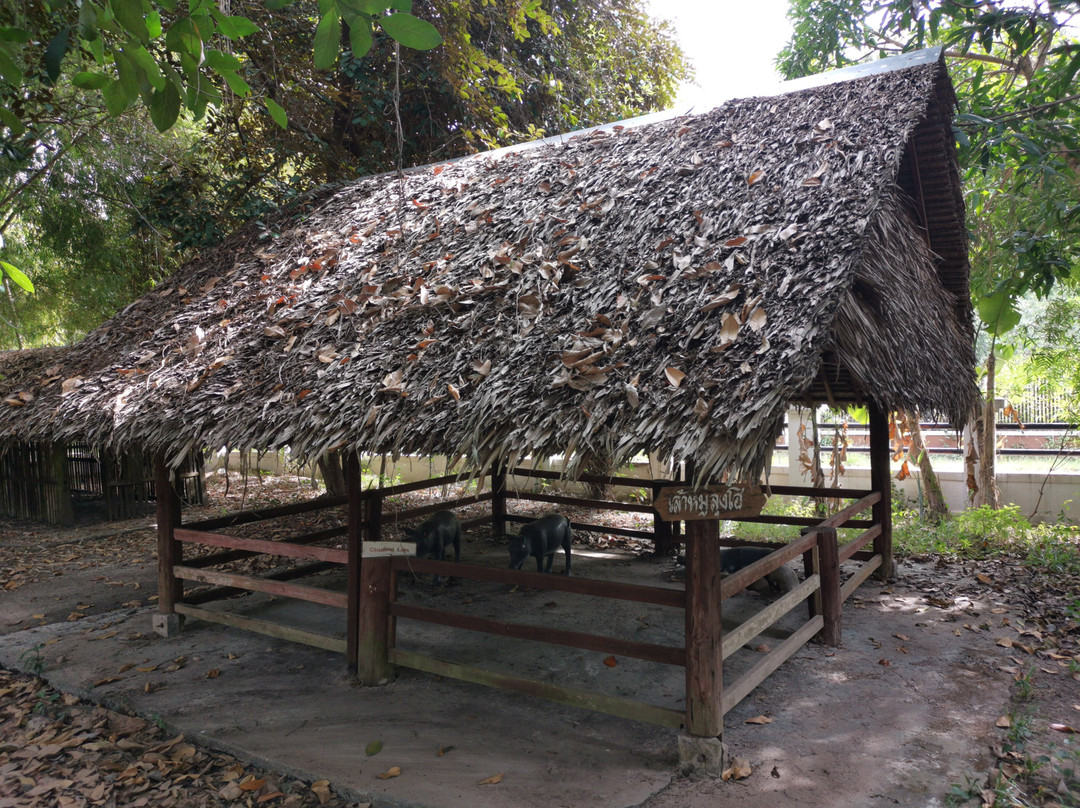 Ho Chi Minh Educational and Tourism Historical Site景点图片
