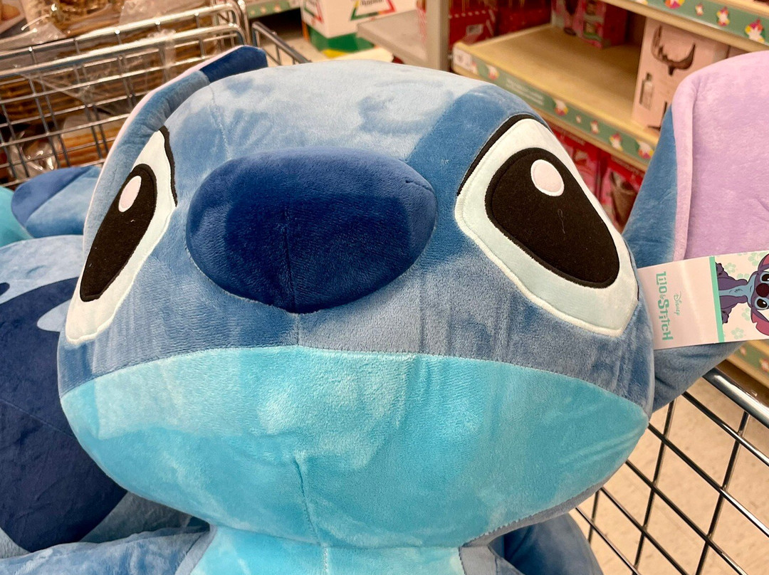 Kmart-特拉拉尔根必去景点