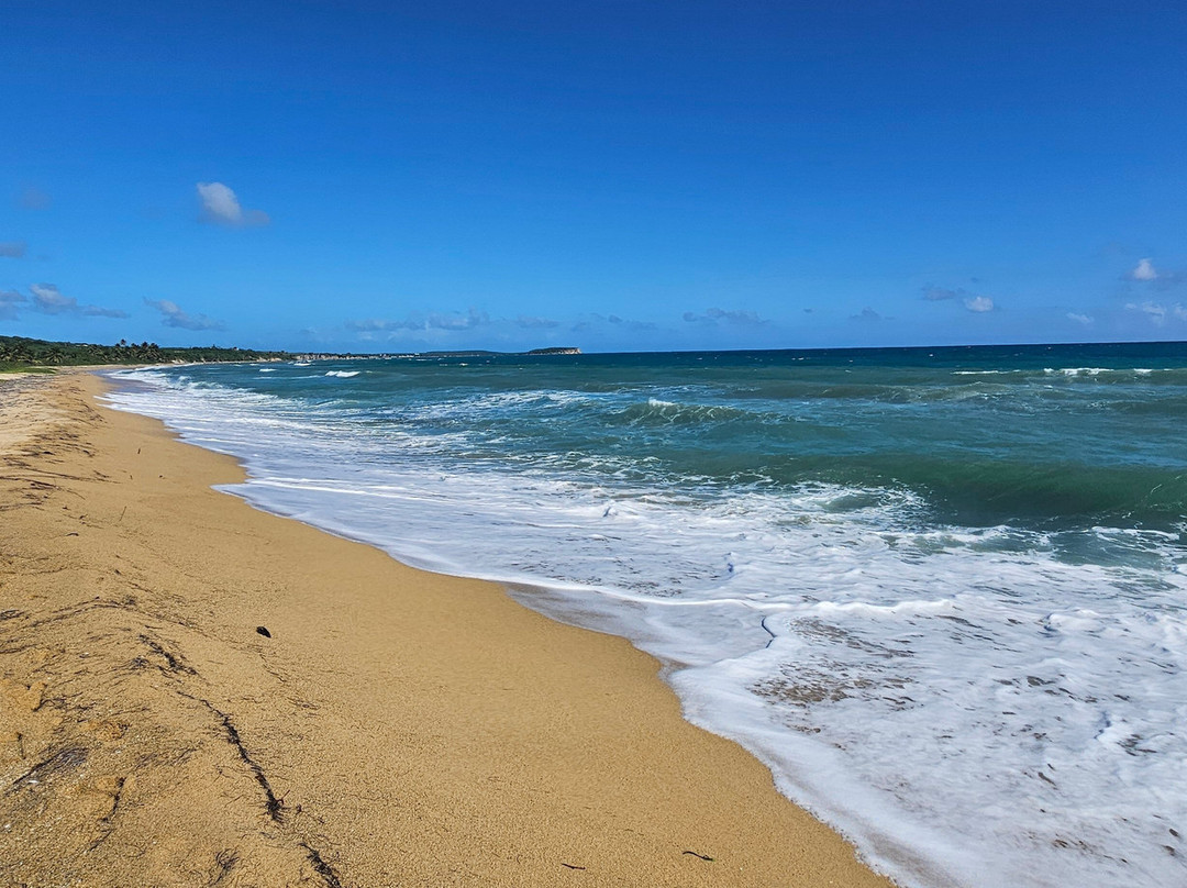 Playa Grande景点图片