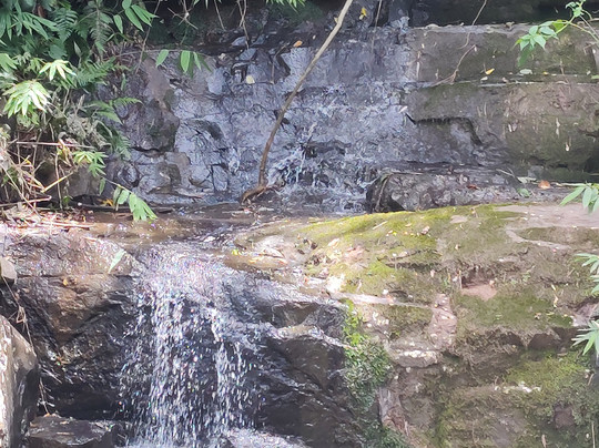 Chagdud Gonpa Khadro Ling-Tres Coroas必去景点