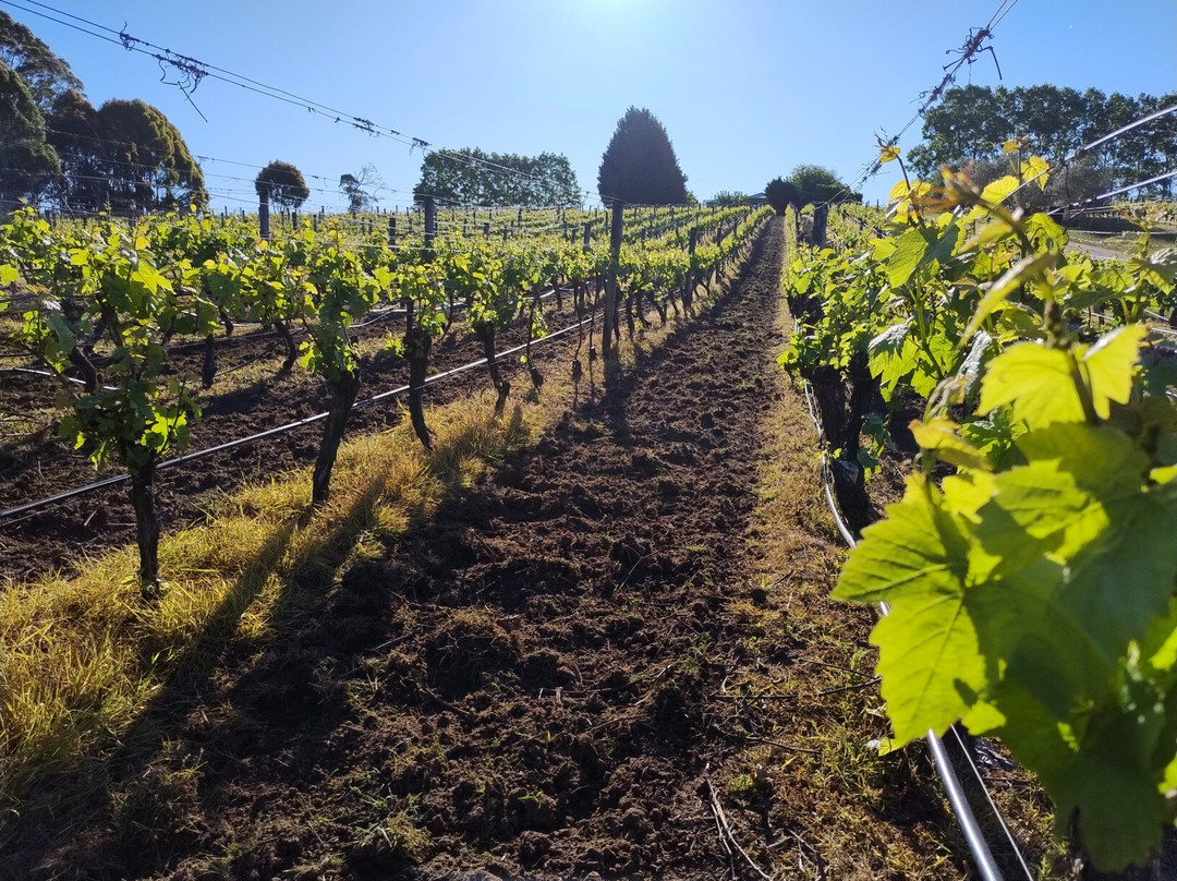 Brook Eden Vineyard-Lebrina必去景点