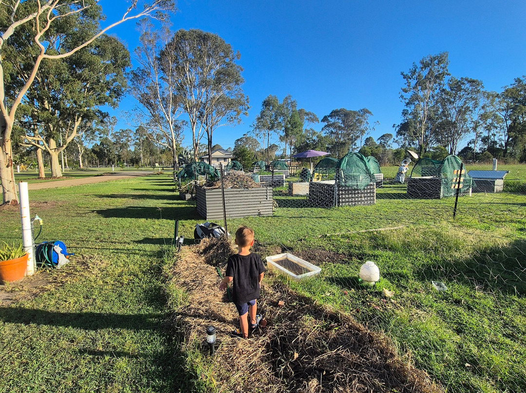 Koorawatha Homestead Motel主图