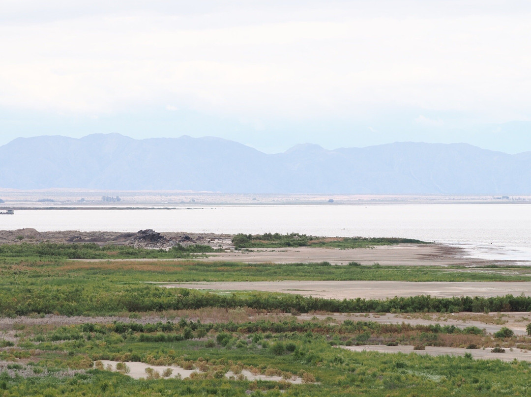 Sonny Bono National Wildlife Reserve-Calipatria必去景点