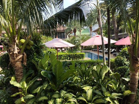 苏梅岛皇宫酒店主图