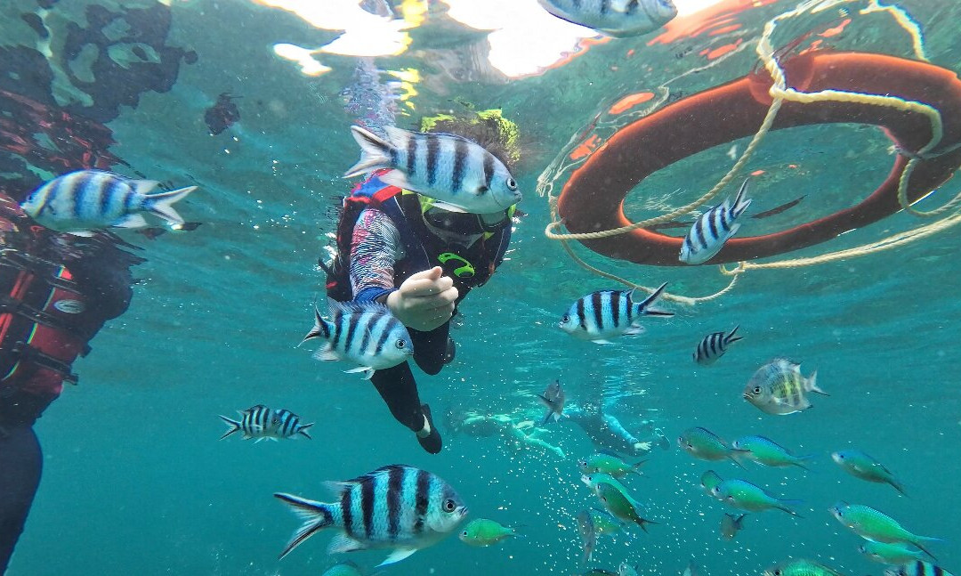 Sutera At Mantanani主图