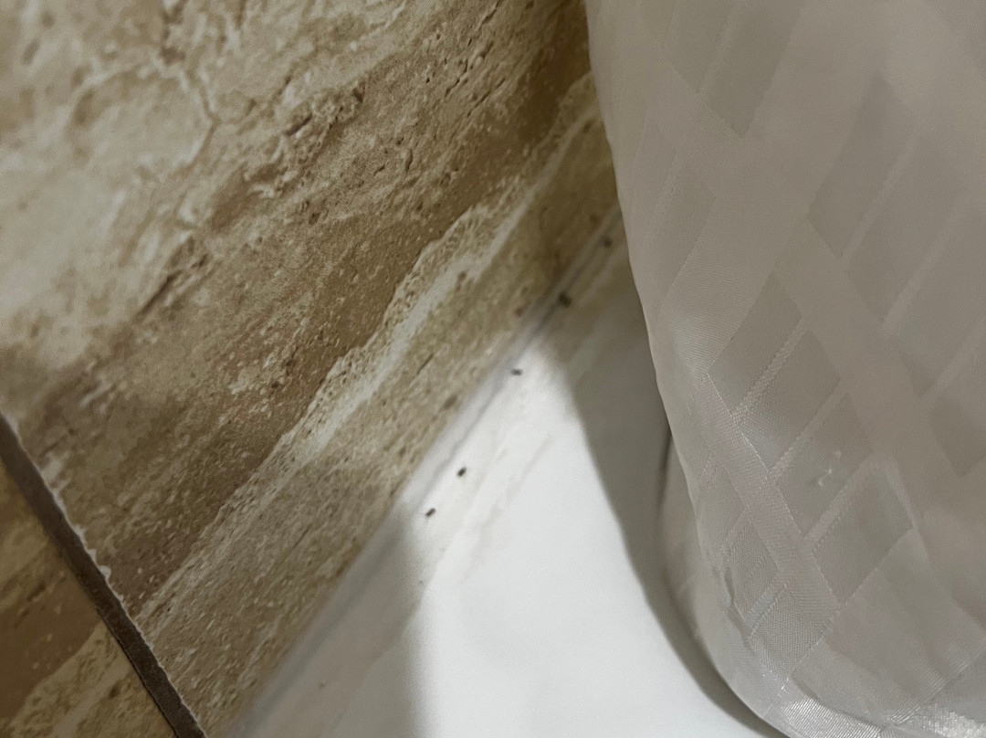 La Quinta Inn & Suites by Wyndham Allen at The Village主图