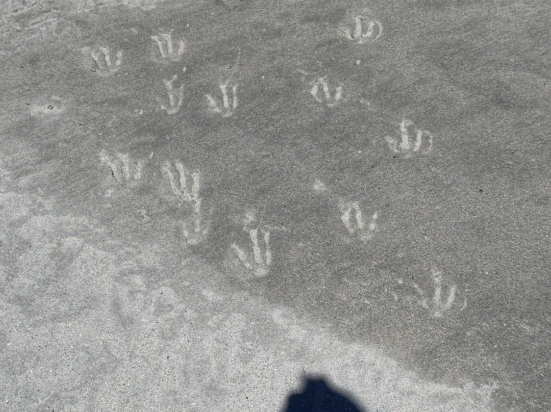 Bleaker Island景点图片