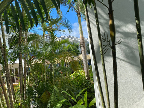 Treasure Beach Art Hotel, Barbados, An Autograph Collection All-Inclusive Resort主图