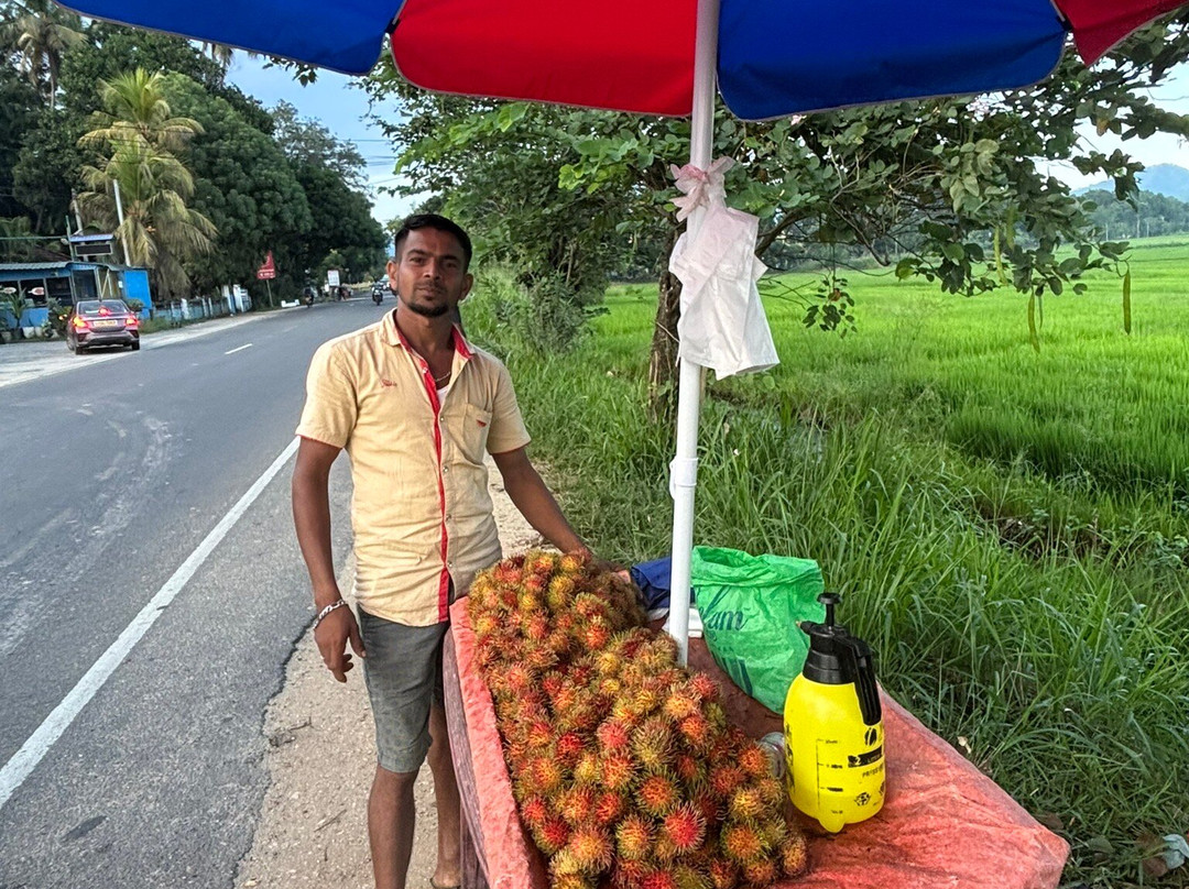 Udawalawe New Cab Service-Habaraluwewa必去景点