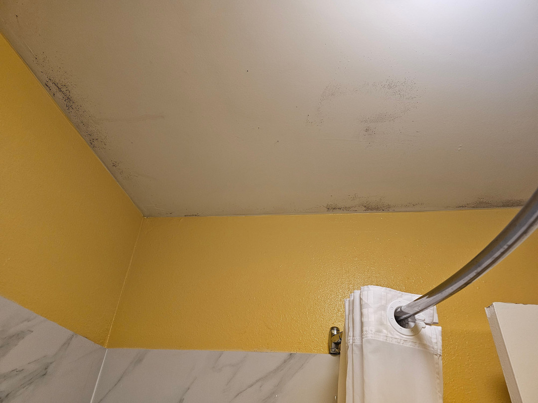 Super 8 by Wyndham Jackson主图