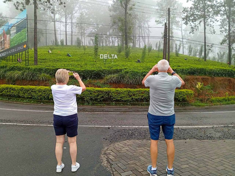 Kandy Hotels  Cars-康提必去景点