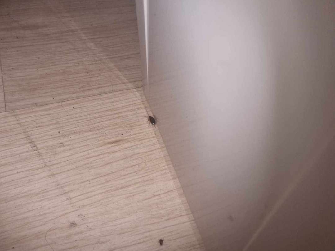 Kurri Motor Inn主图