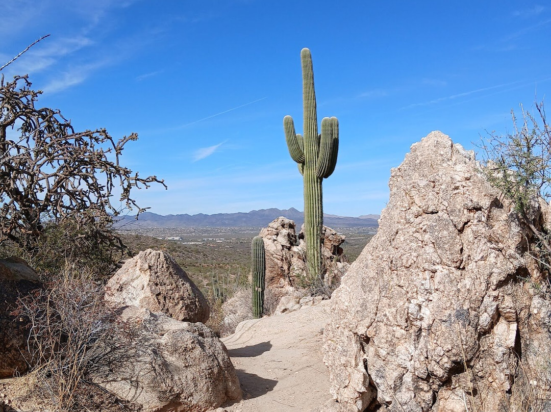 Catalina State Park-图森必去景点