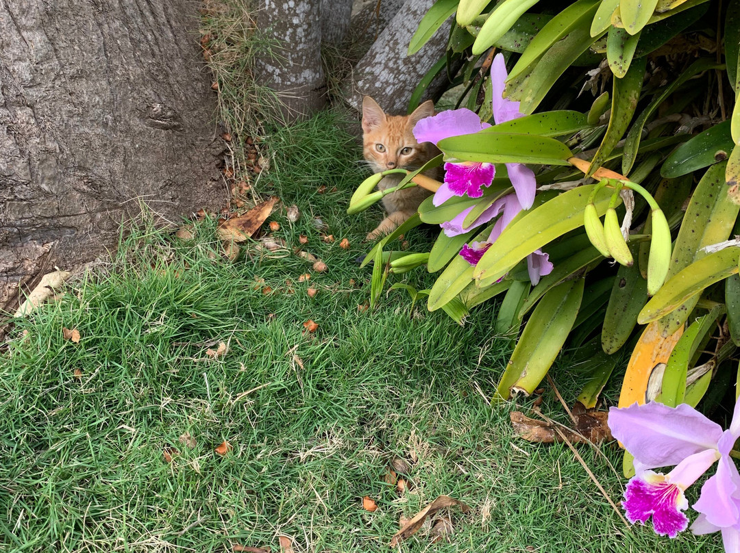 Finca Tungasuk-Caimito必去景点