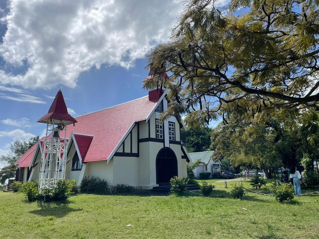 Dodo Spirit-大湾必去景点