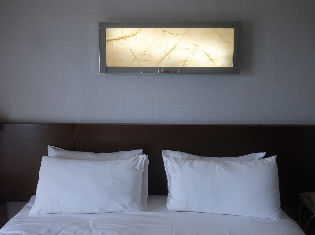 伊瓜苏全景酒店主图