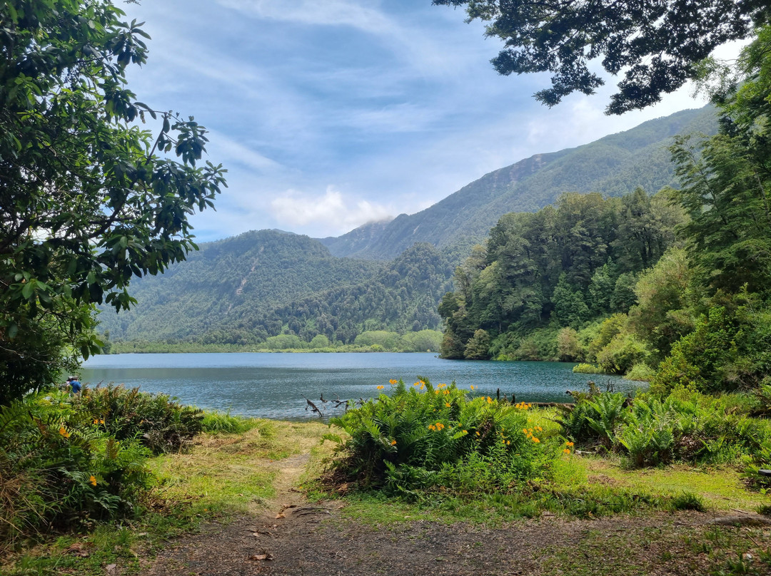 Futangue Park-Lago Ranco必去景点