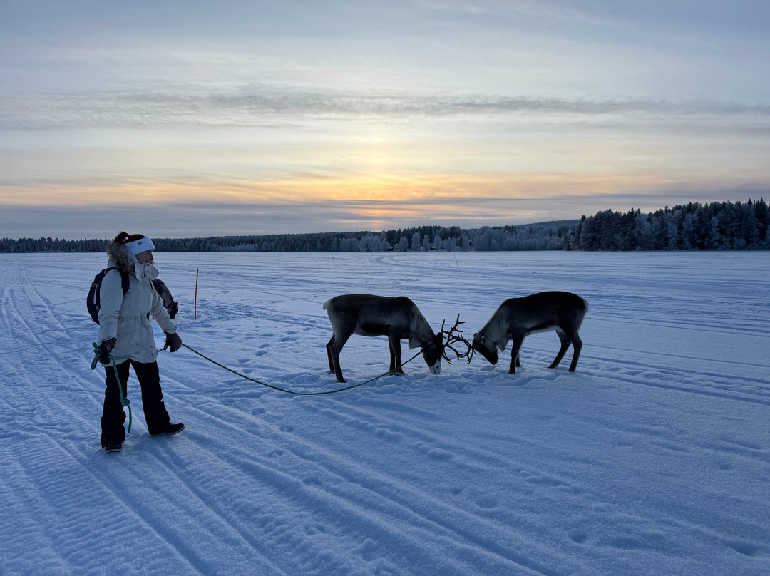 Local Lifestyle Rovaniemi-罗瓦涅米必去景点