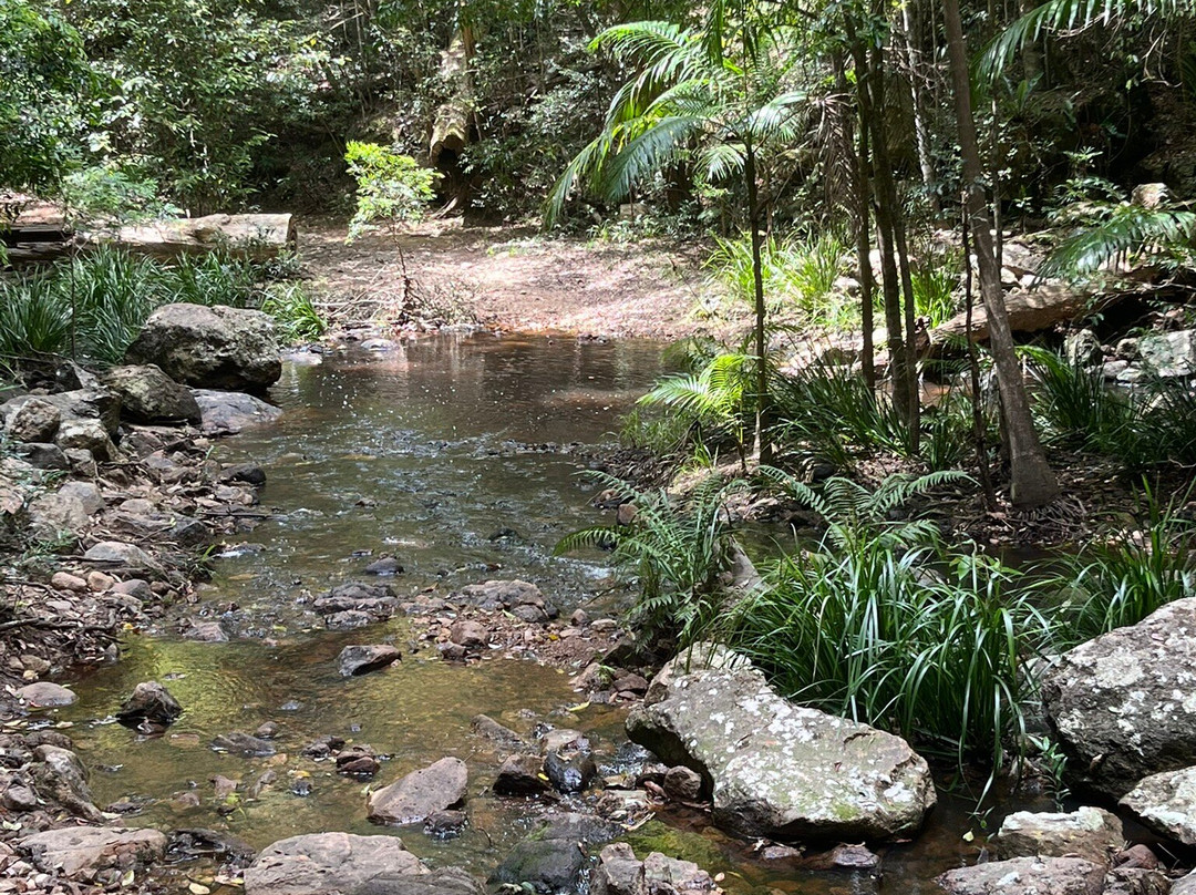 Mapleton Falls National Park景点图片