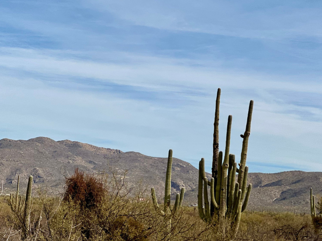 Houston's Horseback Riding-图森必去景点