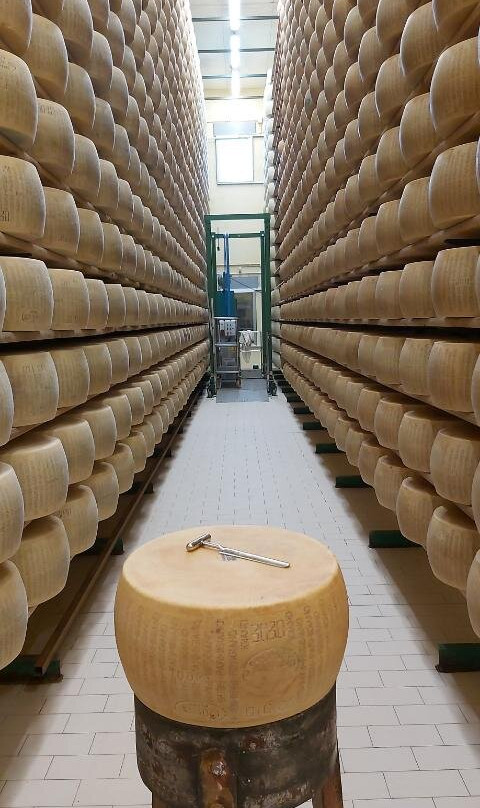Azienda Agricola Bertinelli景点图片