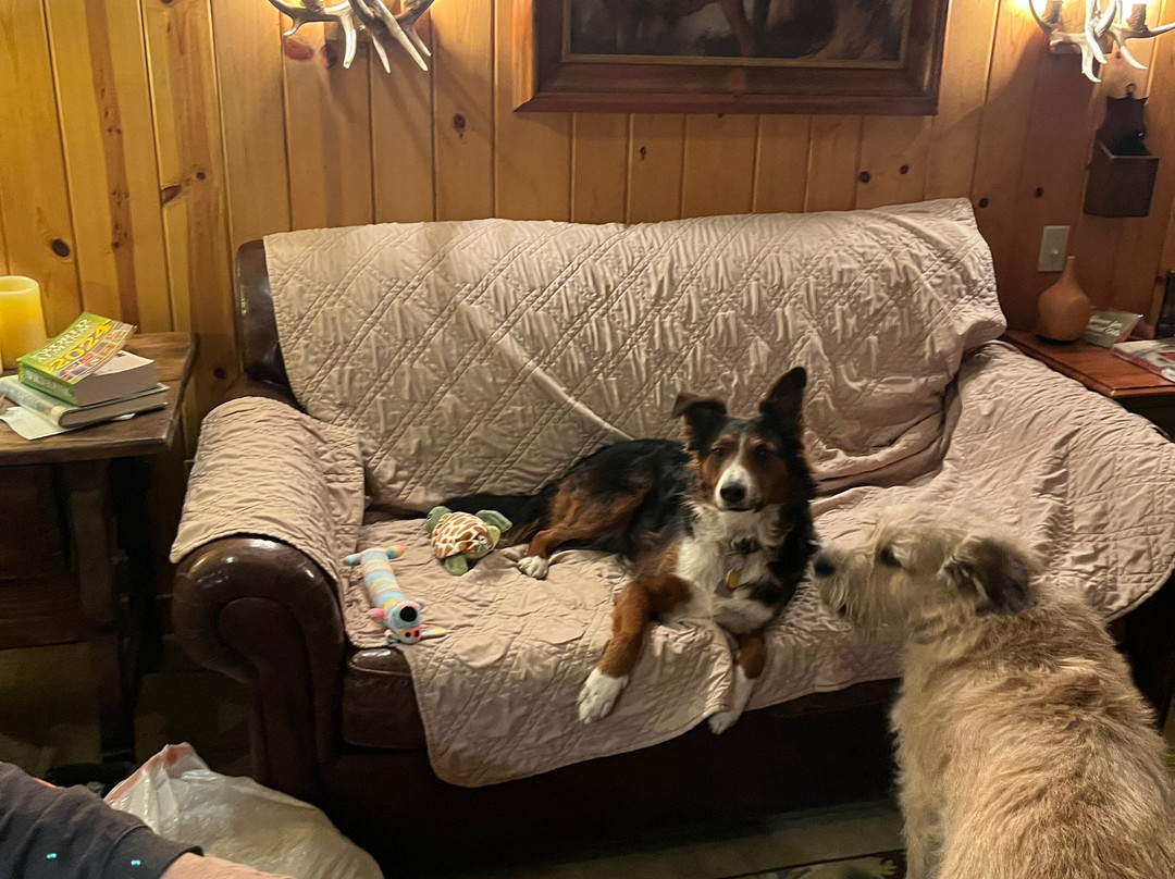 O-Bar-O Cabins主图