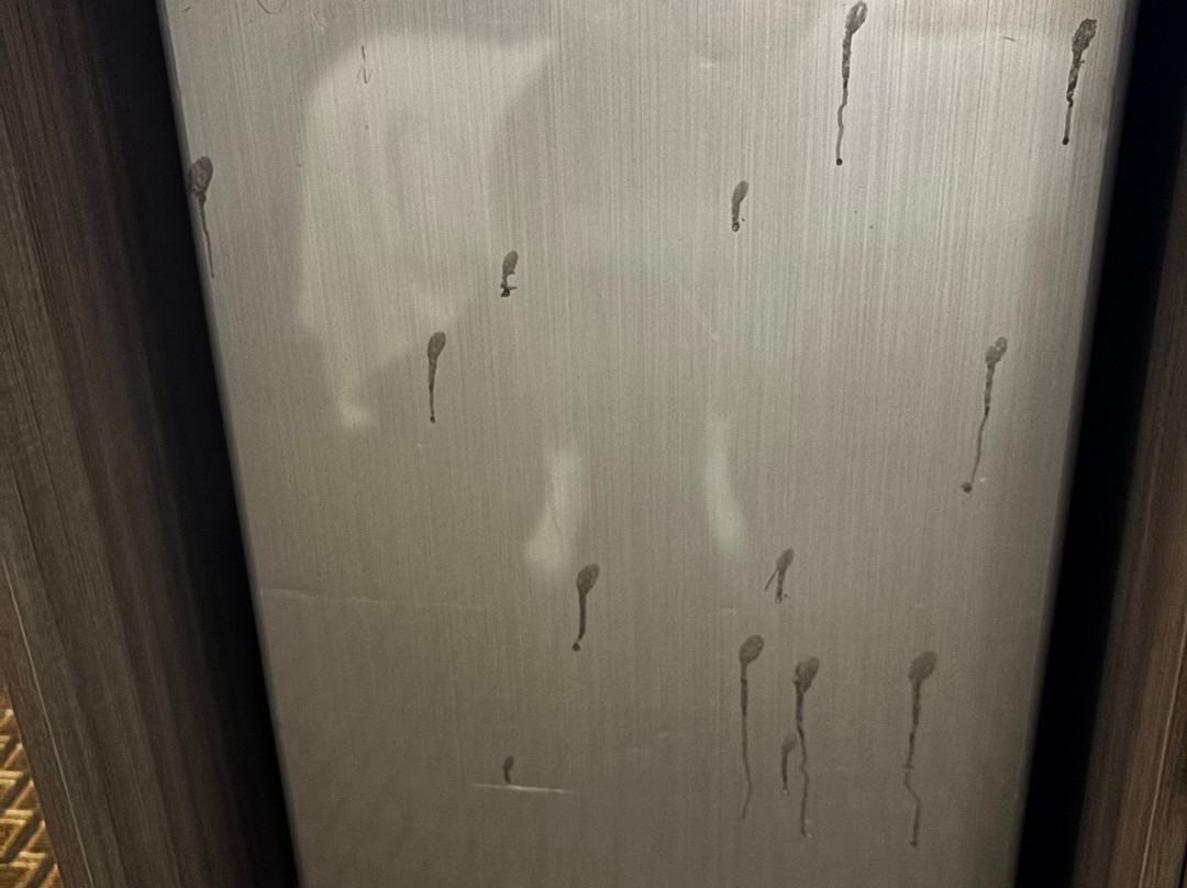 Best Western Plus Circle Inn主图