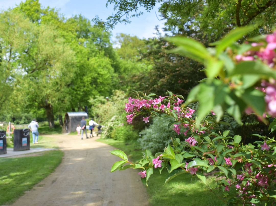 Les Jardins De Brocéliande景点图片