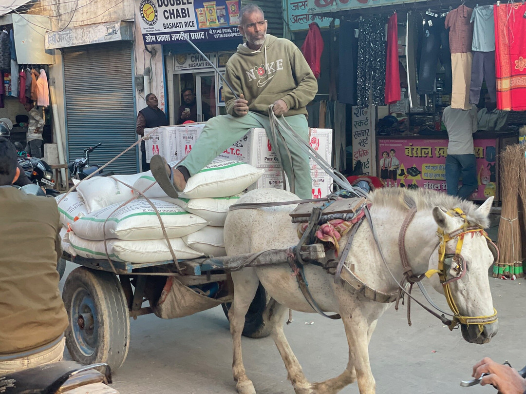 Malji Ka Kamra主图