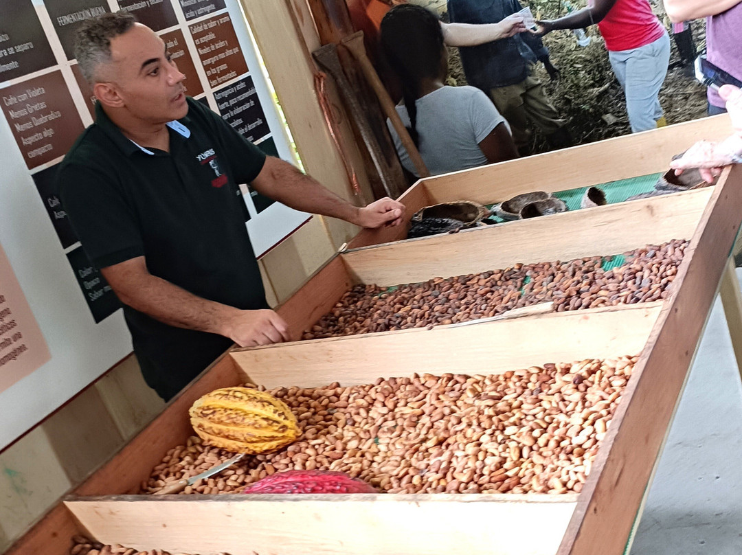 Yumbos Chocolate-明多必去景点