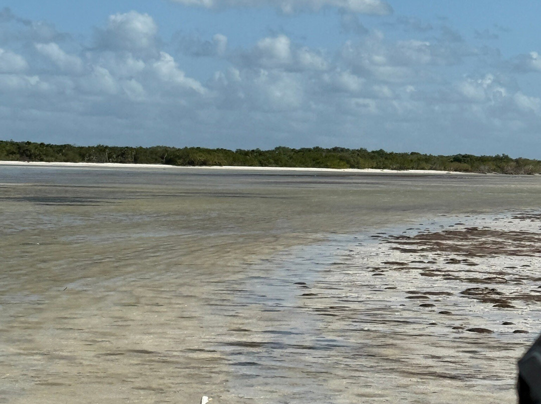 Playa Punta Cocos景点图片