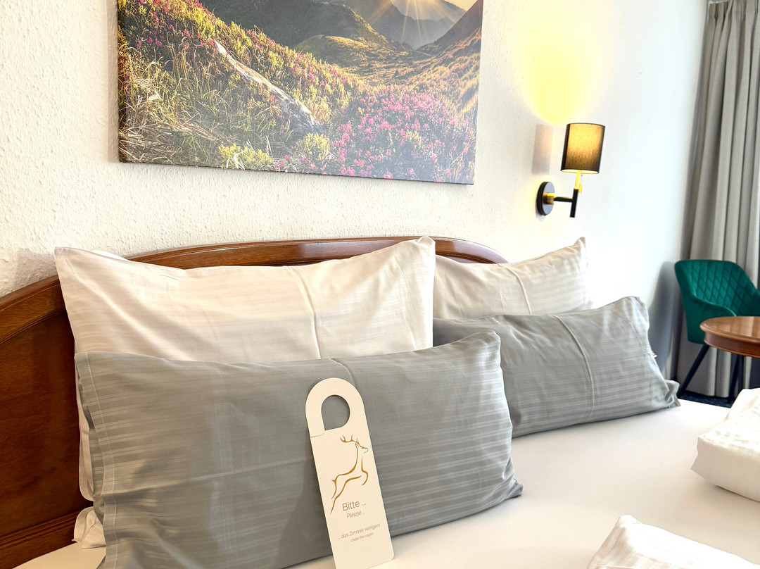 Hotel Goldener Hirsch主图