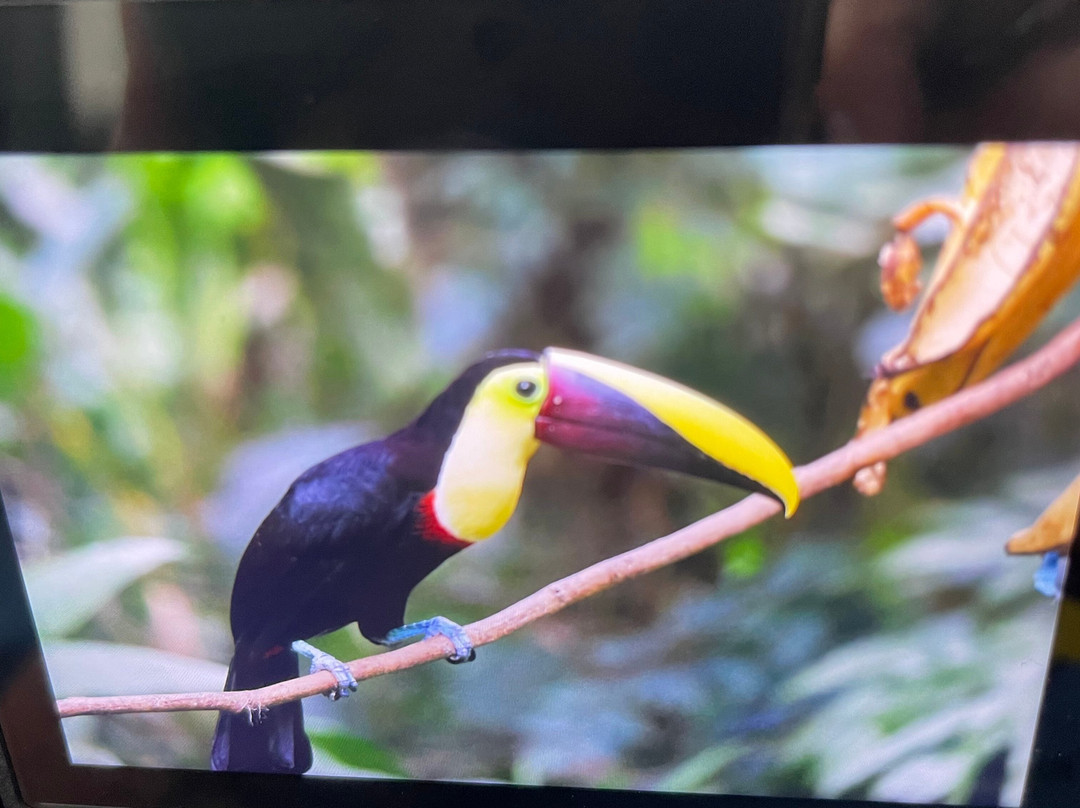 Peregrinus Expeditions景点图片